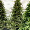 Ель GreenTerra Норвегия 2.2 м