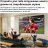 Телевизор LG QNED evo AI QNED8M 75QNED8MB6A