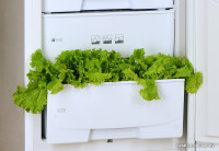 Холодильник Pozis RK-139 (серебро)