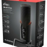 Конденсаторный микрофон Ritmix RDM-290 USB Eloquence