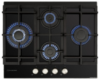 Варочная панель Schaub Lorenz SLK GY6531
