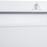 Морозильник Snowcap FR 100