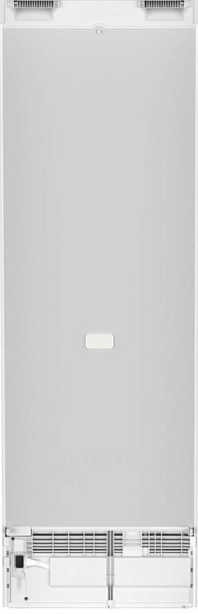 Однокамерный холодильник Liebherr RBe 5220 Plus BioFresh