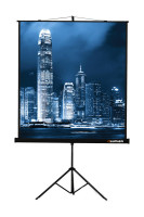 Проекционный экран Lumien Master View 220x220 (LMV-100111)