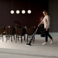 Пылесос Electrolux PQ91-ANIMA