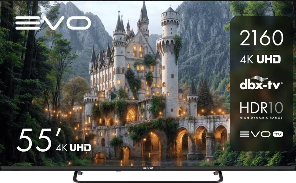 Телевизор Evo TV 55 Black TD0051754RU