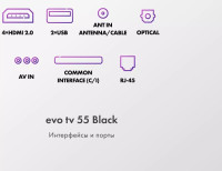 Телевизор Evo TV 55 Black TD0051754RU