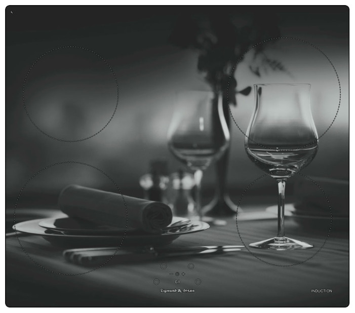 Варочная панель Zigmund & Shtain CIS 219.60 DX