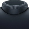 Наушники Apple AirPods Max (с разъёмом USB Type-C, полуночный)