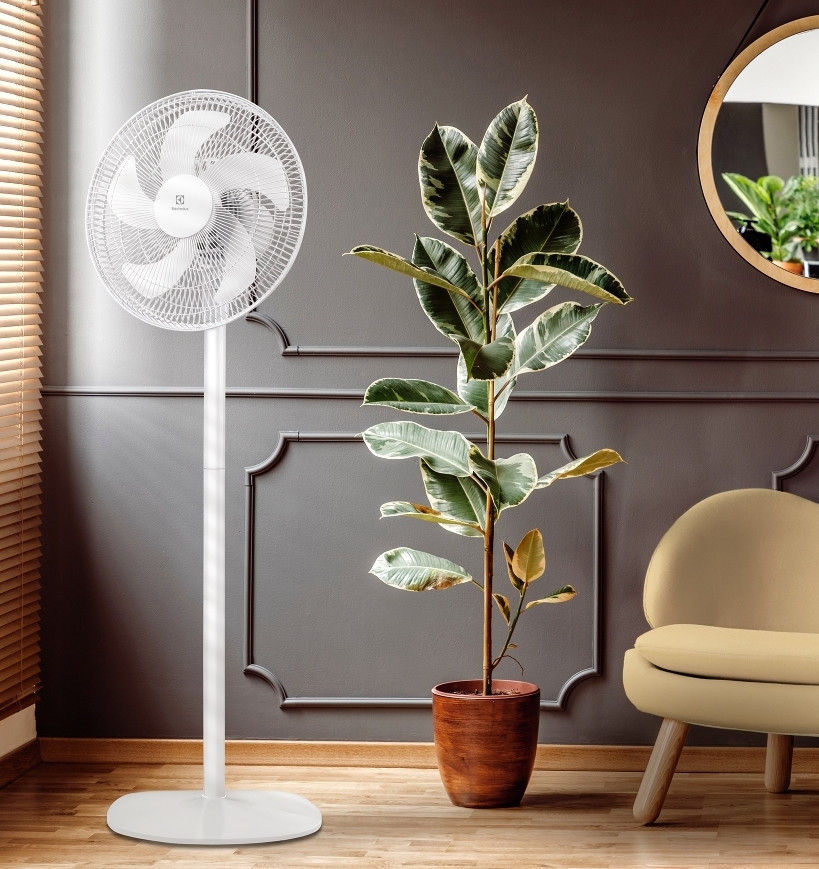 Вентилятор Electrolux EFF-1005