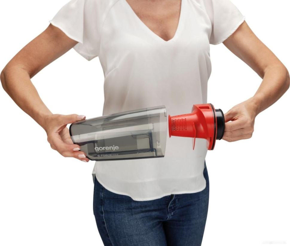 Пылесос Gorenje SVC216GFBK