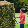 Кусторез Ryobi RHT6160RS