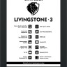 Электронная книга Onyx BOOX Livingstone 3