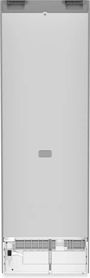 Однокамерный холодильник Liebherr RDsfd 5220 Plus