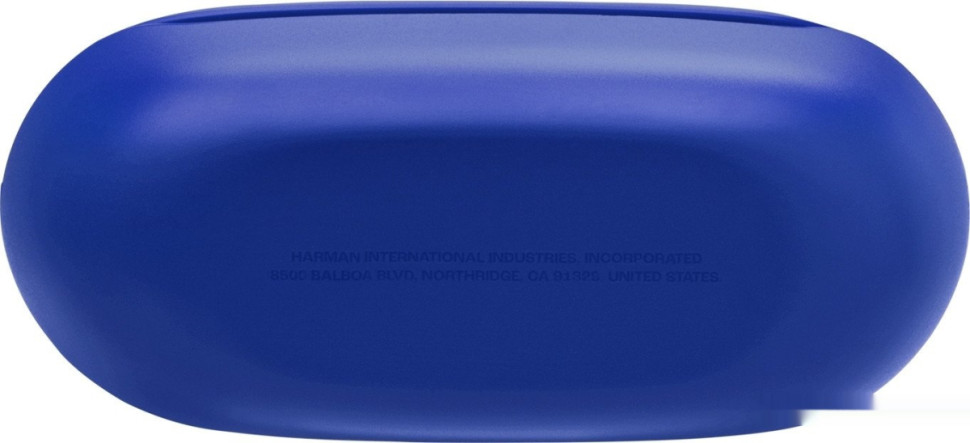 Наушники JBL Endurance Race 2 (синий)