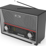 Радиоприемник Ritmix RPR-102 (карбон)