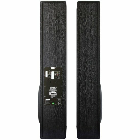 Акустическая система Ginzzu GM-326