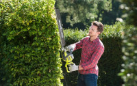 Кусторез Ryobi RHT8165RL