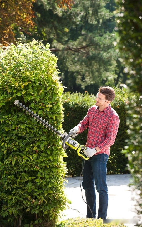 Кусторез Ryobi RHT8165RL