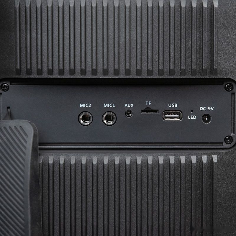 Колонка для вечеринок DIALOG AO-300