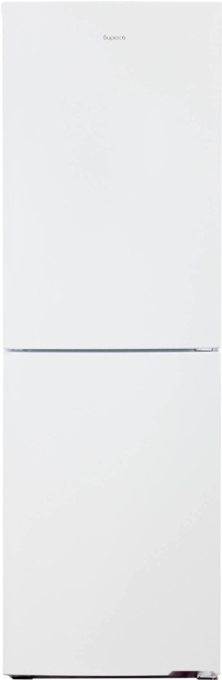 Холодильник Бирюса 6031