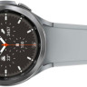 Умные часы Samsung Galaxy Watch4 Classic 46мм (серебро)