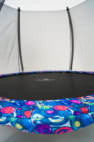 Батут Calviano Outside Master Smile 312 см - 10ft (внешняя сетка, с лестницей)