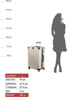 Чемодан-спиннер Supra Luggage STS-1003-L (Silver Quartz)