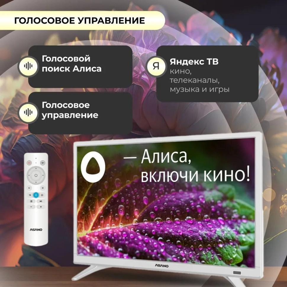 Телевизор Asano 24LH8011T