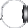 Умные часы Xiaomi Watch 2 M2320W1 (серебристый/серый, международная версия)
