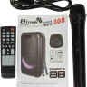 Колонка для вечеринок Eltronic 20-01 Dance Box 300