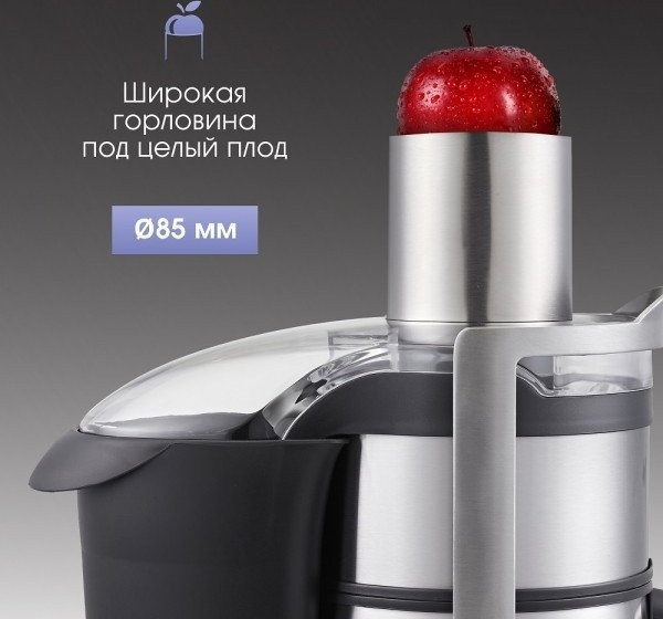 Соковыжималка Zigmund & Shtain EJ-755