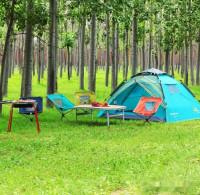 Палатка KingCamp Florance Fantasy 7001 (голубой)