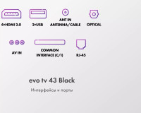 Телевизор Evo TV 43 Black TD0051752RU