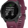 Умные часы Garmin Forerunner 245 (вишневый)