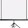Проекционный экран PL Magna TRM-AV-84