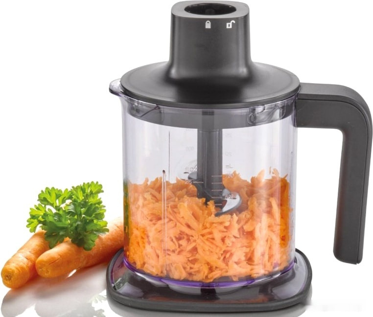 Блендер Caso HB 1000