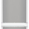 Холодильник Liebherr ICNSe 5103 Pure NoFrost 5103-22001