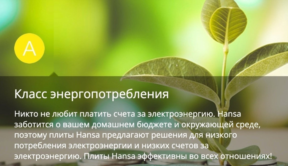 Плита Hansa FCMW580957