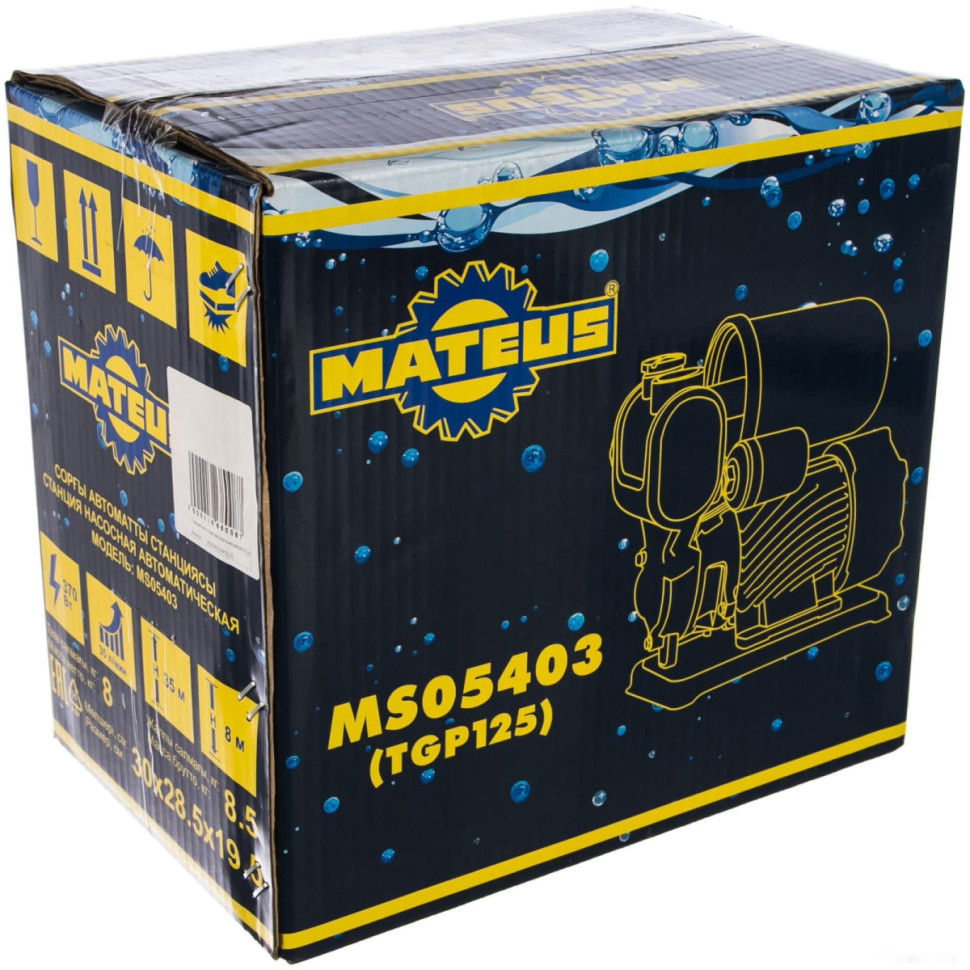 Насосная станция Mateus TGP 125