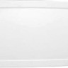 Экран для ванной Aquanet Jersey Sofia L/R 170 (243486)