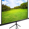 Проекционный экран Cactus TriExpert 160x160 CS-PSTE-160x160-BK