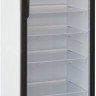 Торговый холодильник Бирюса B310P