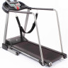 Беговая дорожка DFC Walker EVO T-S1