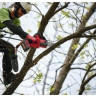Аккумуляторная пила Milwaukee M18 FHS20-552 4933480118 (с 2-мя АКБ)
