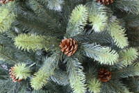 Ель GreenLand Stefanie 1.95 м (с гирляндой)