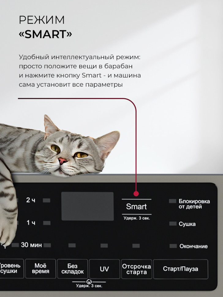 Сушильная машина LEX LDM10GrD