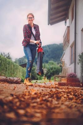 Колесная воздуходувка Einhell GE-CL 36 Li E-Solo (без АКБ)