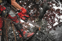 Аккумуляторная пила Milwaukee M18 FTHCHS35-802 4933479589 (с 2-мя АКБ)