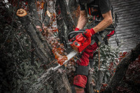 Аккумуляторная пила Milwaukee M18 FTHCHS35-802 4933479589 (с 2-мя АКБ)